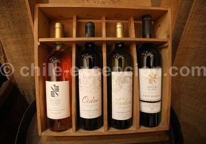 Viña Sánchez de Loria