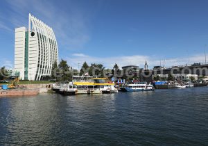Bord de fleuve, Valdivia