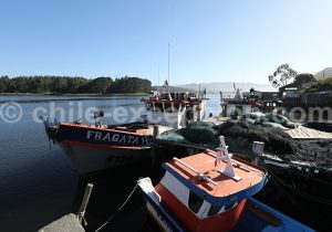 Queule, région d'Araucanie, Chili
