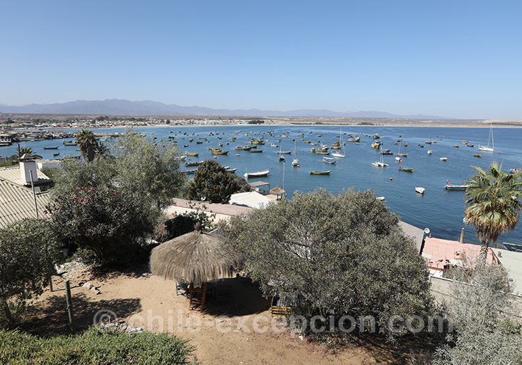 Tongoy, Nord du Chili Tongoy, Nord du Chili