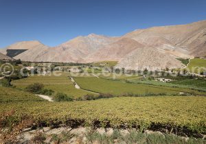 Village de Paihuano, Nord du Chili