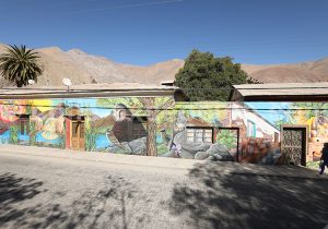 Village de Paihuano, Vallée de l'Elqui