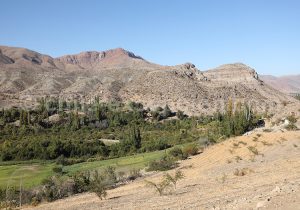 Route de Río Hurtado à Vicuña
