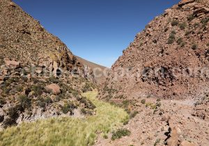 Trekking dans les montagnes désertes chiliennes