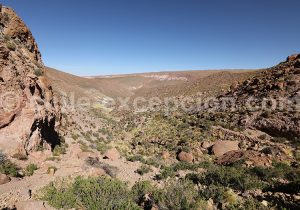 Trekking dans les déserts chiliens