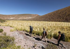 Sports extrêmes à Machuca Río Grande au Chili