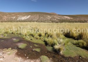 Paysage de Machuca Río Grande au Chili
