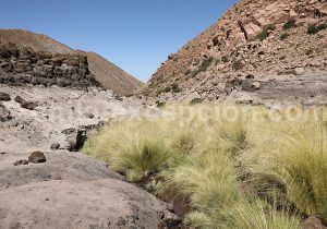Paysages désertiques à Machuca Río Grande au Chili