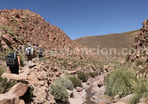 Trekking exclusif à Machuca