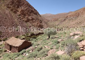 Randonnée Camino del Inca