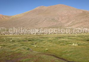 Trekking de 5 heures, Machuca, Chili