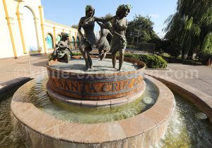 7-5 Culture des vignes, Santa Cruz, Chili