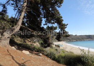 Discover center of Chile