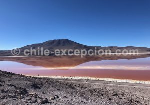 Lagune-Colorada-Bolivie