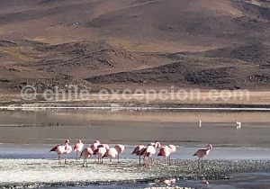 Lagune-Hedionda-Route-des-Joyaux