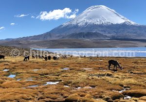 Parinacota-nord-Chili