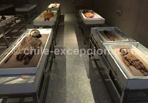 musée-archéologique-San-Miguel-de-Azapa