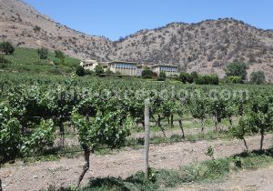 Viña Haras de Pirque, vallée de Maipo
