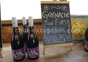 Viña Attilio & Mochi, vallée Casablanca