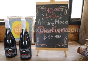 Viña Attilio & Mochi, vallée Casablanca