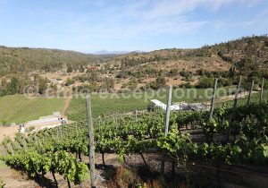 Viña La Recova, vallée Casablanca