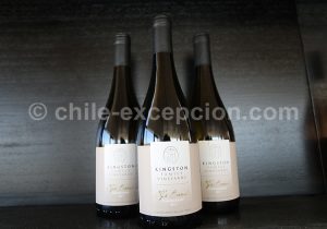 Viña Kingston, vallée Casablanca