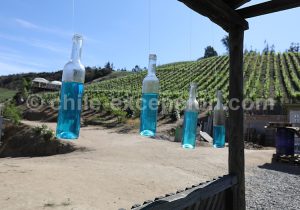 Viña La Recova, vallée Casablanca