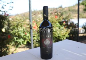 Viña La Recova, vallée Casablanca