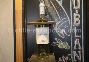 Cave Haras de Pirque, ancien haras d'élevage de chevaux