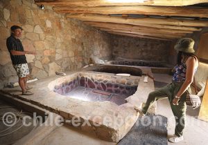 Découvrir les techniques de vinification dans les vignes chiliennes