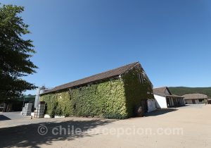 Belle bodega du Chili, Casa Bouchon