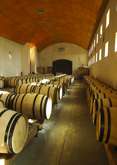 Caves et viñas de la vallée du Cachapoal