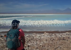 Laguna-Chaxa-Atacama-1