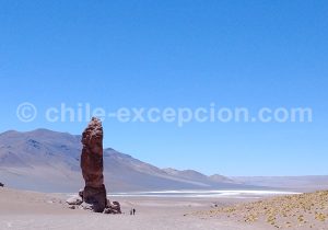 Moai-de-la-Pakana-Atacama-1