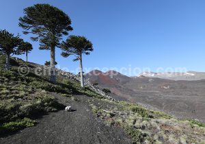 Volcan du Chili, Sollipulli, Cordillère des Andes, Chili