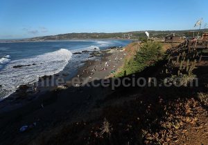 Kiteboarding et surf à Punta de Lobos