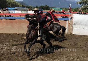 Spectacle de rodéo au Chili