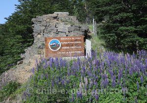 4-Parc-national-Cerro-Castillo-16.19.49