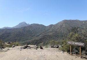 Se balader dans le parc national la Campana, région centre du Chili