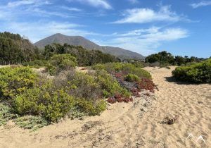 Balade de plage à Humedal Balade de plage à Humedal