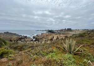 Cactus à El Durazno Cactus à El Durazno