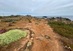 El Durazno El Durazno