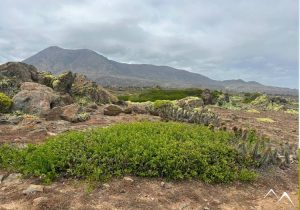 El Durazno Pichidangui El Durazno Pichidangui