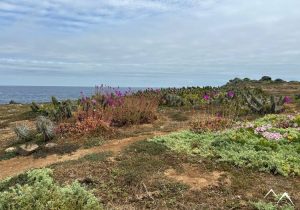 El Durazno paysage El Durazno paysage