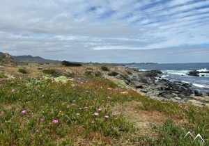 El Durazno paysage marin El Durazno paysage marin