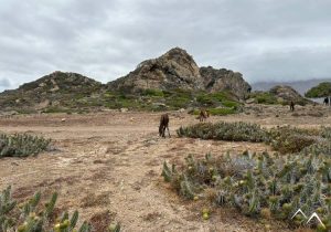 El Durazno sentier de plage El Durazno sentier de plage