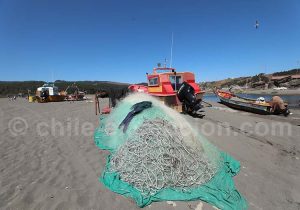 Bucalemu, región de O'Higgins