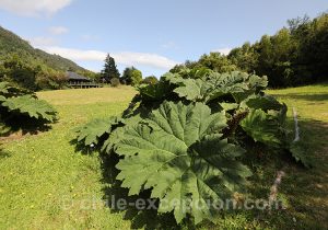Parc Ayken, parc national de la Patagonie chilienne