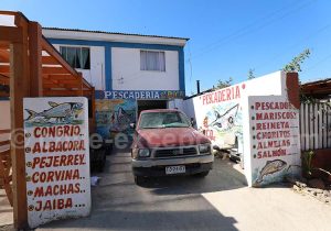 Poissonnerie à Bucalemu