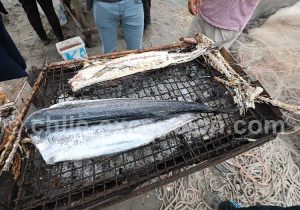 Grillade de poissons sur la plage